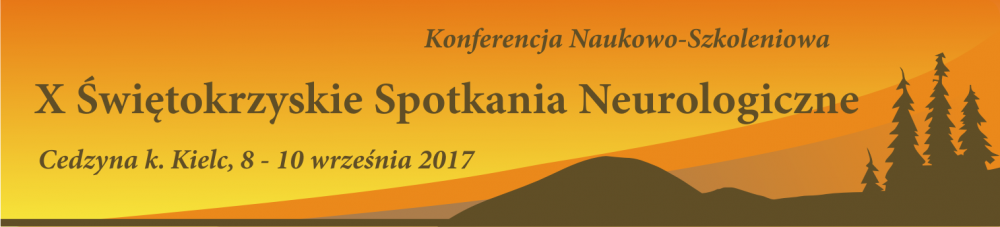 naglowek_ssn2017.PNG